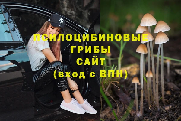 кокаин колумбия Алексин