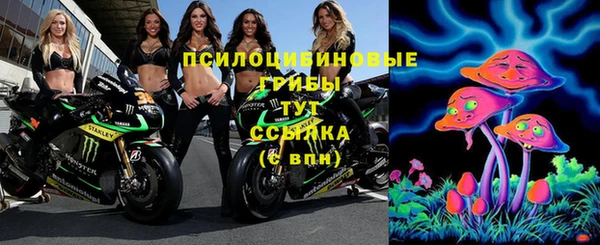 дживик Алзамай