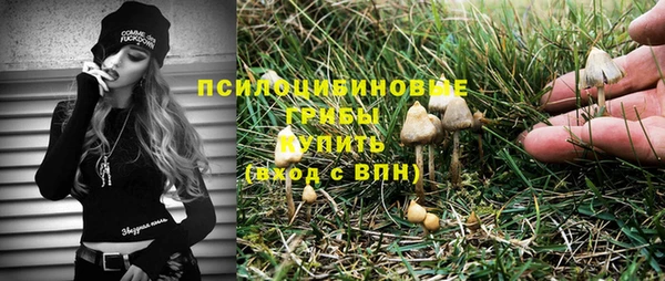 дживик Алзамай