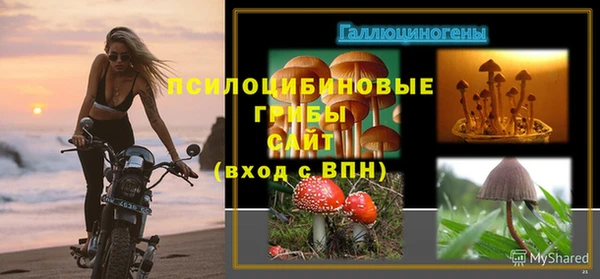 амф Алексеевка
