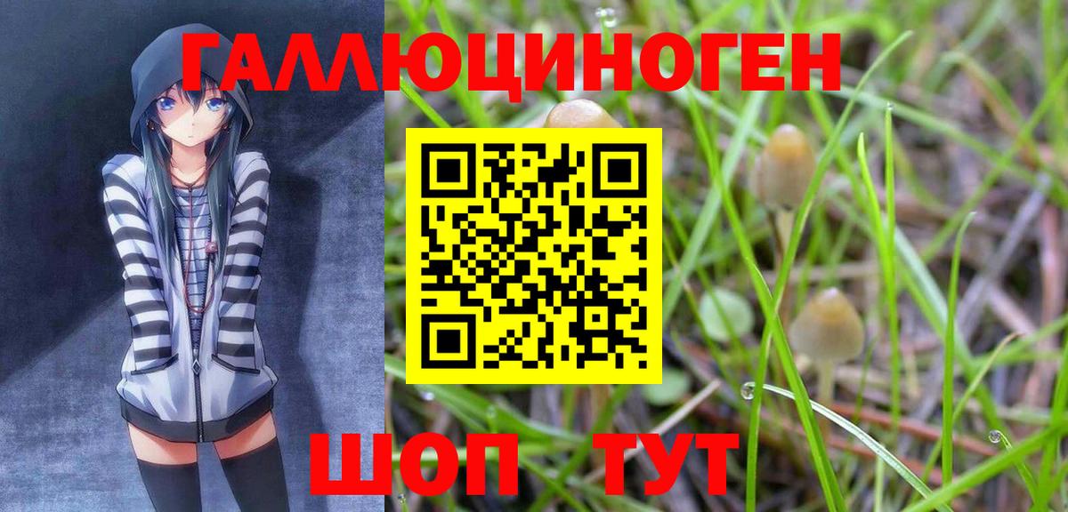 Псилоцибиновые грибы ЛСД Джанкой